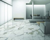 Керамогранит Primavera Maverick White polished 60х60 см арт-PR130 — фото 2, Керамогранит