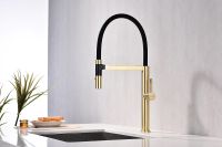 Смеситель для кухни Paulmark Leader Светлое брашированное золото арт-Le214101-SBG — фото 5, Смесители для кухни