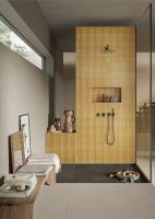 Керамогранит Ceramiche Piemme Homey Stripes Mustard Gl 30х60 см арт-05235 — фото 2, Керамогранит