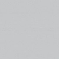 Обои Bernardo Bartalucci Medici Винил на флизелине (1,06*10,05) Серый, Однотонные арт-84204-5 — фото 1, Обои для стен