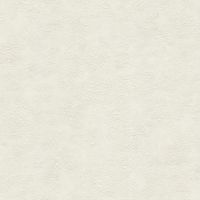 Обои Emiliana Parati Damasco Reale Винил на флизелине (1,06*10,05) Белый/Серый, Штукатурка арт-73411 — фото 1, Обои для стен