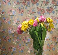 Обои Milassa Joli Флизелин (1*10,05) Розовый/Серый, Цветы арт-Joli3 007 — фото 2, Обои для стен