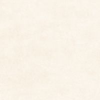 Керамогранит Alma Ceramica Berlin 60х60 см арт-GFU04BLN04R — фото 1, Керамогранит