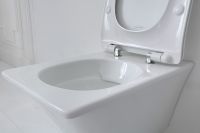 Унитаз Jacob Delafon Grands Boulevards подвесной без сиденья арт-EDW102-00 — фото 4, Подвесные унитазы