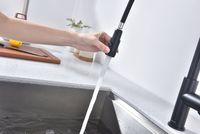 Товар: Смеситель для кухни Paulmark Galant Антрацит арт-Ga213077-AN - фото 5 Смеситель для кухни Paulmark Galant Антрацит арт-Ga213077-AN — фото 5, Смесители для кухни