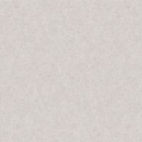 Обои LOYMINA A La Prima Флизелин (1*10,05) Серый, Штукатурка арт-Pm10 001/1 — фото 1, Обои для стен