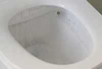 Комплект унитаза биде с инсталляцией Jacob Delafon Seine с сиденьем Микролифт и Белой глянцевой клавишей смыва арт-E34360-00 — фото 8, Умные унитазы