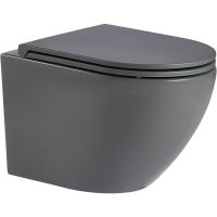 Унитаз WeltWasser Merzbach 041 MT-GR подвесной Серый матовый с сиденьем Микролифт арт-10000008256 — фото 1, Подвесные унитазы