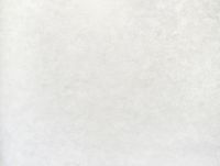 Обои Solo Bohemia Винил на флизелине (1,06*10) Серый, Штукатурка арт-E102600 — фото 2, Обои для стен