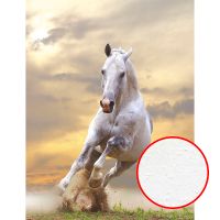 Фреска Ortograf Животные 3091 Фактура бархат FX Флизелин (2*2,7) Белый/Бежевый, Животные арт-3091 (бархат FX) — фото 1, Фрески