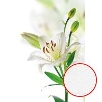 Фреска Ortograf Цветы 3612 Фактура бархат FX Флизелин (1,8*2,7) Белый/Зеленый, Цветы арт-3612 (бархат FX) — фото 1, Фрески