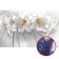 Фреска Ortograf 3D 6716 Фактура бархат серебро FX-S Флизелин (4,3*2,7) Белый, Цветы арт-6716 (бархат серебро FX-S) — фото 1, Фрески