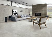 Керамогранит Realistik Fiji Silver 9103 Mat 60х60 см арт-58674 — фото 2, Керамогранит