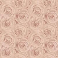 Обои AS Creation Podium Винил на флизелине (1,06*10,05) Розовый, Цветы арт-37644-2 — фото 1, Обои для стен
