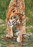 Фреска Ortograf Животные 17601 Фактура флок FLK Флизелин (1,9*2,7) Оранжевый/Зеленый, Животные/Живопись арт-17601 (флок FLK) — фото 2, Фрески