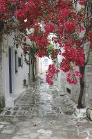 Фреска Ortograf Городской пейзаж 0916 Фактура бархат FX Флизелин (1,8*2,7) Серый/Розовый, Город/Цветы арт-0916 (бархат FX) — фото 2, Фрески