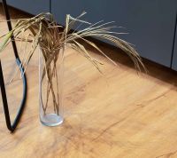 Товар: Виниловый ламинат Vinilpol SPC Click 5mm Дуб Флоренция -EIR 1220х228х5 мм арт-7896 - фото 4 Виниловый ламинат Vinilpol SPC Click 5mm Дуб Флоренция -EIR 1220х228х5 мм арт-7896 — фото 4, Виниловый ламинат