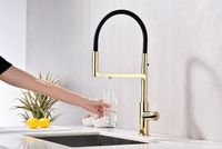 Товар: Смеситель для кухни Paulmark Tornado Золото арт-To213402-G - фото 14 Смеситель для кухни Paulmark Tornado Золото арт-To213402-G — фото 14, Смесители для кухни