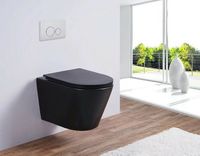 Унитаз Timo Inari подвесной Черный матовый с сиденьем Микролифт арт-TK-503MB — фото 2, Подвесные унитазы