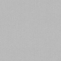 Обои AS Creation Original View Винил на флизелине (0,53*10,05) Серый, Рогожка арт-3851-30 — фото 1, Обои для стен