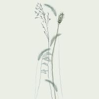 Панно Marburg Crush Motion Винил на флизелине (0,7*2,7) Бежевый, Цветы/Листья арт-63485 — фото 1, Обои для стен