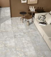 Керамогранит Primavera Speranza Gold light grey Polished 60x60 см арт-PR122 — фото 2, Керамогранит
