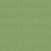 Обои Andrea Grifoni Palazzo Ragione Флизелин (1,06*10,05) Зеленый, Абстракция/Однотонные арт-7028-9 — фото 1, Обои для стен