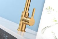 Смеситель для кухни Paulmark Halt Брашированное золото арт-Ha214021-BG — фото 11, Смесители для кухни
