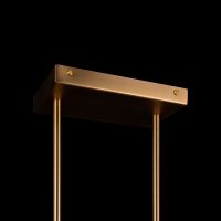 Подвесной светильник Maytoni Modern Aster Прозрачный Золото арт-MOD007PL-08G1 — фото 7, Подвесные светильники