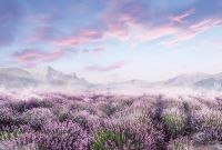 Фреска Ortograf Relax 34264 Фактура бархат FX Флизелин (4*2,7) Сиреневый/Голубой, Пейзаж/Цветы арт-34264 (бархат FX) — фото 2, Фрески