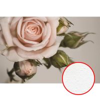 Фреска Ortograf Цветы 3486 Фактура бархат FX Флизелин (3*2) Розовый/Серый/Зеленый, Цветы арт-3486 (бархат FX) — фото 1, Фрески