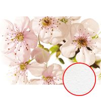 Фреска Ortograf Цветы 3440 Фактура бархат FX Флизелин (4*2,7) Белый/Розовый/Зеленый, Цветы арт-3440 (бархат FX) — фото 1, Фрески