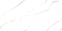 Керамогранит Ceradim Calacatta Pleasant белый полированный 60х120 см арт-х9999304535 — фото 1, Керамогранит