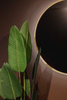 Товар: Зеркало Silver Mirrors Monaco 100 с подсветкой Золото с бесконтактным выключателем и диммером арт-LED-00002767 - фото 12 Зеркало Silver Mirrors Monaco 100 с подсветкой Золото с бесконтактным выключателем и диммером арт-LED-00002767 — фото 12, Зеркала в ванную комнату