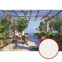 Фреска Ortograf Животные 10515 Фактура флок FLK Флизелин (4,5*3) Разноцветный, Животные/Деревья/Пейзаж арт-10515 (флок FLK) — фото 1, Фрески