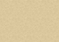 Обои Grandeco Ciara Винил на флизелине (0,53*10,05) Бежевый/Коричневый, Штукатурка арт-A 53703 — фото 2, Обои для стен