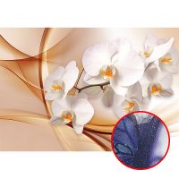 Фреска Ortograf 3D 6691 Фактура бархат серебро FX-S Флизелин (3,9*2,7) Оранжевый/Белый, Цветы/Абстракция арт-6691 (бархат серебро FX-S) — фото 1, Фрески