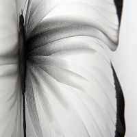 Товар: Обои Andrea Rossi Cheradi Винил на флизелине (1,06*10,05) Серый, Бабочки арт-54401-1 - фото 2 Обои Andrea Rossi Cheradi Винил на флизелине (1,06*10,05) Серый, Бабочки арт-54401-1 — фото 2, Обои для стен