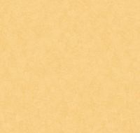 Обои LOYMINA Shade Винил на флизелине (1*10,05) Желтый, Штукатурка арт-SD3 002/4 — фото 2, Обои для стен