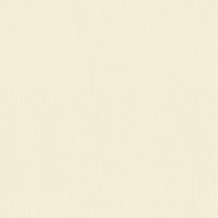 Обои Roberto Borzagi Queen I Винил на флизелине (1,06*10,05) Бежевый, Однотонные/Линии арт-90103-4 — фото 1, Обои для стен