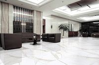 Керамогранит Primavera Regal Carara Polished 60x120 см арт-PR203 — фото 2, Керамогранит