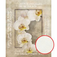 Фреска Ortograf Цветы 4089 Фактура флок FLK Флизелин (2*2,5) Бежевый/Белый, Цветы/Надписи арт-4089 (флок FLK) — фото 1, Фрески