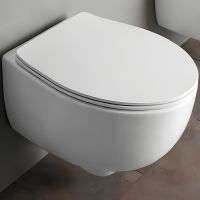 Унитаз Simas Bormio подвесной без сиденья арт-BR18bi — фото 1, Подвесные унитазы