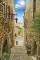 Фреска Ortograf Городской пейзаж 3538 Фактура бархат FX Флизелин (1,8*2,7) Бежевый/Зеленый, Город/Пейзаж арт-3538 (бархат FX) — фото 2, Фрески