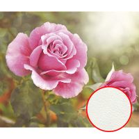 Фреска Ortograf Цветы 4331 Фактура флок FLK Флизелин (3*2,5) Розовый/Зеленый, Цветы арт-4331 (флок FLK) — фото 1, Фрески