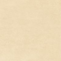 Товар: Керамогранит NewTrend Design Art Honey 20х20 см арт-GP2020DNA09 - фото 13 Керамогранит NewTrend Design Art Honey 20х20 см арт-GP2020DNA09 — фото 13, Керамогранит