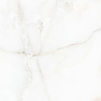 Керамогранит A-Ceramica Antisky 2 Polished 60х60 см арт-00-00000992 — фото 1, Керамогранит