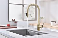 Смеситель для кухни Paulmark Universal Светлое брашированное золото арт-Un213880-SBG — фото 3, Смесители для кухни