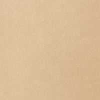 Обои Bernardo Bartalucci Legend Флизелин (1,06*10) Бежевый, Однотонные арт-5068-80 — фото 1, Обои для стен