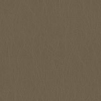 Обои Roberto Borzagi Queen I Винил на флизелине (1,06*10,05) Коричневый, Однотонные/Линии арт-90103-6 — фото 1, Обои для стен